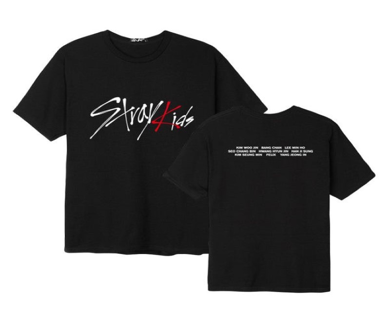 Merchandise Melody Unveiling the Stray Kids Official Collection Att